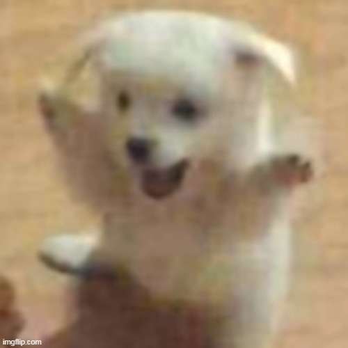 post below must live | made w/ Imgflip meme maker