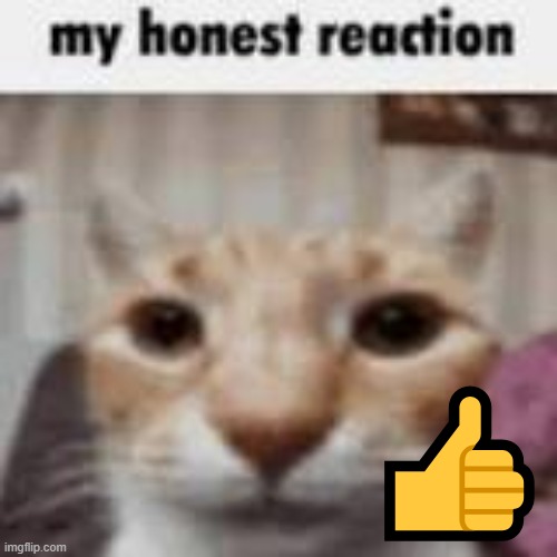 My Honest Reaction | ? | image tagged in my honest reaction | made w/ Imgflip meme maker