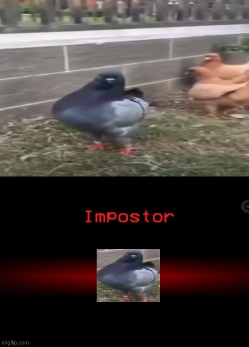 pigen | image tagged in is this a pigeon | made w/ Imgflip meme maker