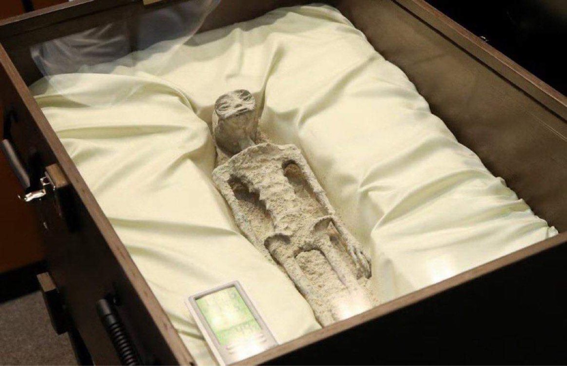 High Quality Mexican Alien Mummy Blank Meme Template