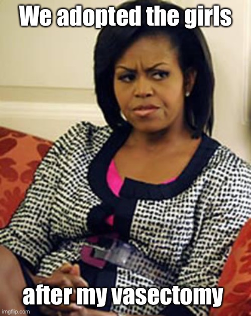 Michelle Obama is not pleased | We adopted the girls after my vasectomy | image tagged in michelle obama is not pleased | made w/ Imgflip meme maker