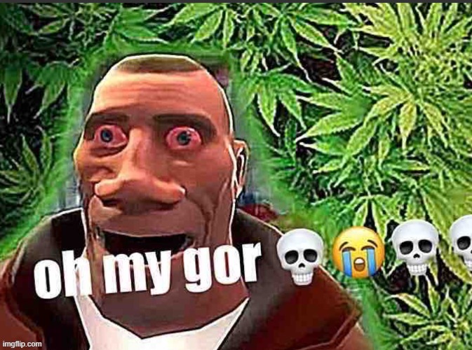 oh my gor | made w/ Imgflip meme maker