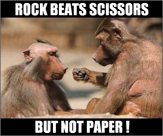 Learning The Rules ! | ROCK BEATS SCISSORS; BUT NOT PAPER ! | image tagged in fun,monkeys,rock paper scissors,rules | made w/ Imgflip meme maker