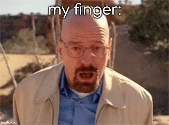 Walter White | my finger: | image tagged in walter white | made w/ Imgflip meme maker