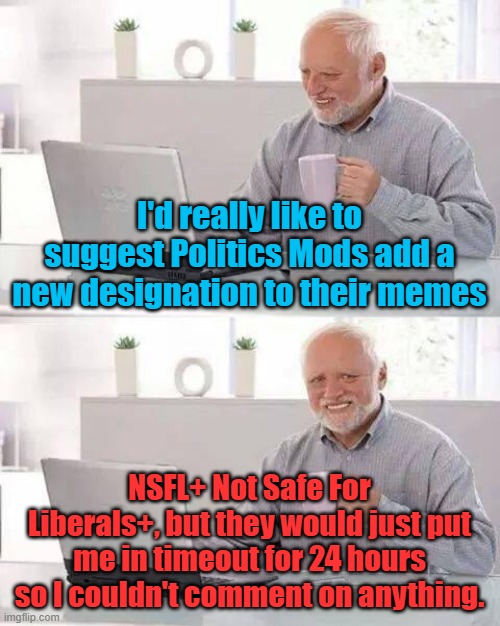 Is it just me or are the Politics mods getting super sensitive because of a rash or outbreak or something? | I'd really like to suggest Politics Mods add a new designation to their memes; NSFL+ Not Safe For Liberals+, but they would just put me in timeout for 24 hours so I couldn't comment on anything. | image tagged in memes,hide the pain harold | made w/ Imgflip meme maker