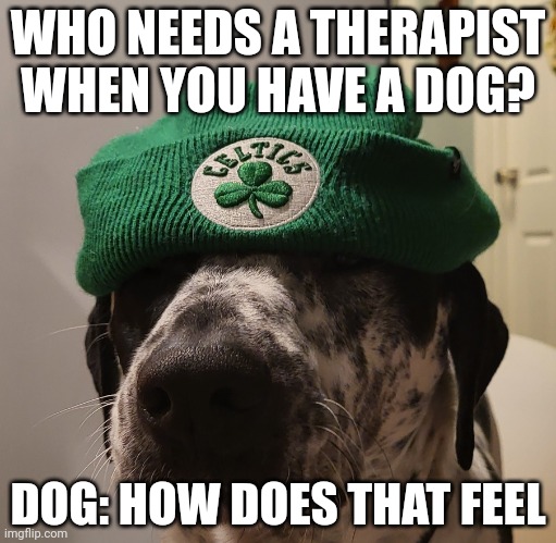 Use this template pls | WHO NEEDS A THERAPIST WHEN YOU HAVE A DOG? DOG: HOW DOES THAT FEEL | image tagged in chill dog | made w/ Imgflip meme maker