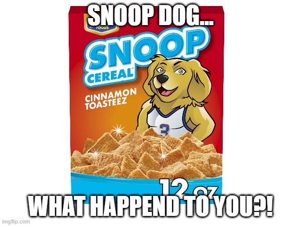 what happend....... | SNOOP DOG... WHAT HAPPEND TO YOU?! | image tagged in snoop dogg | made w/ Imgflip meme maker