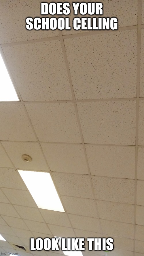 DOES YOUR SCHOOL CELLING; LOOK LIKE THIS | image tagged in school | made w/ Imgflip meme maker