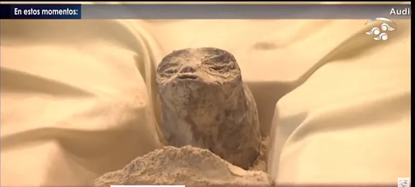 1,000-year-old fossils of 'alien' corpses displayed in Mexico's Blank Meme Template