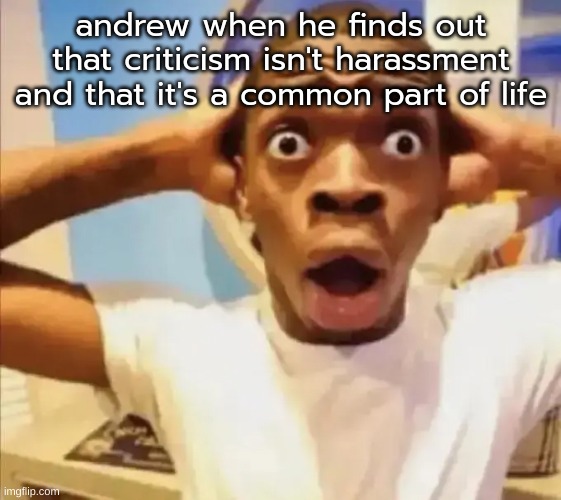 if you can't learn to take criticism, get back in the womb | andrew when he finds out that criticism isn't harassment and that it's a common part of life | image tagged in black guy shocked | made w/ Imgflip meme maker