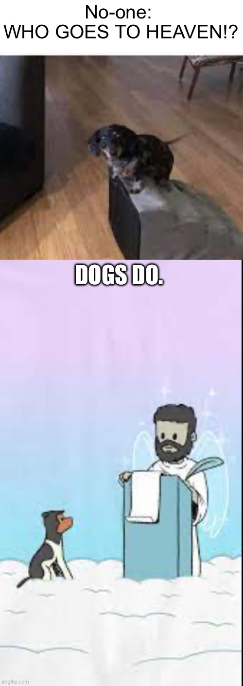 Dogs do | No-one: 
WHO GOES TO HEAVEN!? DOGS DO. | image tagged in memes,dog | made w/ Imgflip meme maker