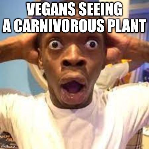 vegans seeing a carnivorous plant | VEGANS SEEING A CARNIVOROUS PLANT | image tagged in funny memes,wtf | made w/ Imgflip meme maker