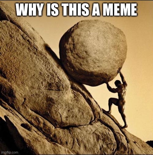 it’s kinda funny, but why is it a meme? | WHY IS THIS A MEME | made w/ Imgflip meme maker