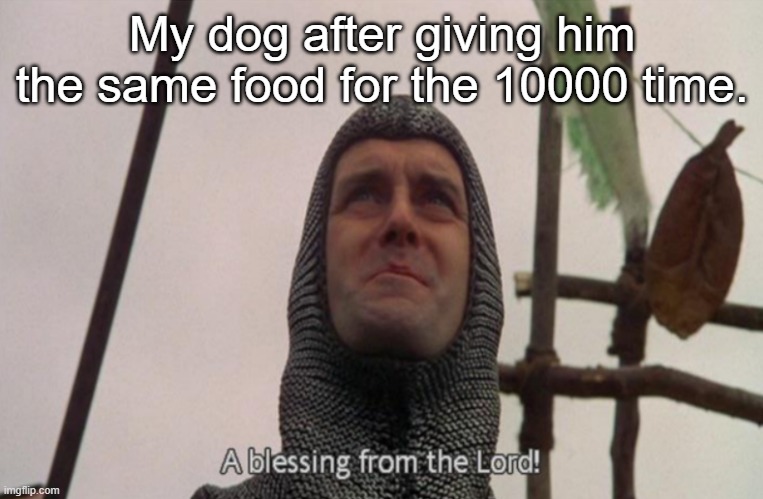 True. | My dog after giving him the same food for the 10000 time. | image tagged in a blessing from the lord | made w/ Imgflip meme maker