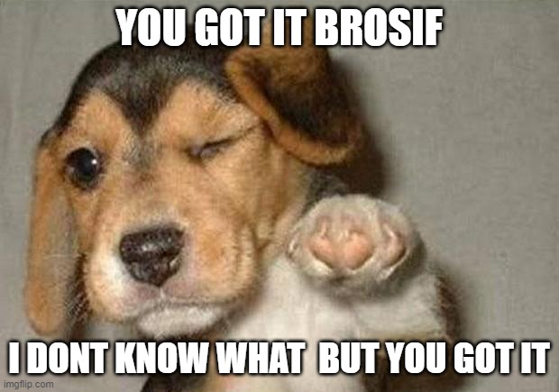 Winking Dog | YOU GOT IT BROSIF; I DONT KNOW WHAT  BUT YOU GOT IT | image tagged in winking dog | made w/ Imgflip meme maker