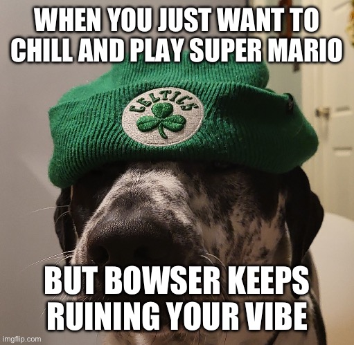 Chill dog | WHEN YOU JUST WANT TO CHILL AND PLAY SUPER MARIO; BUT BOWSER KEEPS RUINING YOUR VIBE | image tagged in chill dog | made w/ Imgflip meme maker
