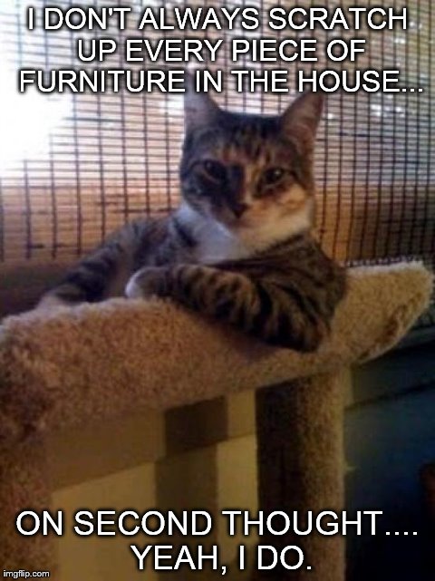 The Most Interesting Cat In The World | I DON'T ALWAYS SCRATCH UP EVERY PIECE OF FURNITURE IN THE HOUSE... ON SECOND THOUGHT.... YEAH, I DO. | image tagged in memes,the most interesting cat in the world | made w/ Imgflip meme maker
