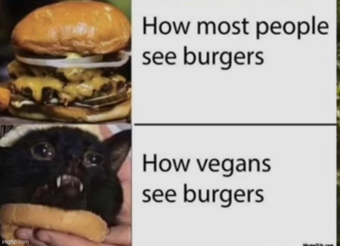 Burger according to a vegan | image tagged in meat,burger | made w/ Imgflip meme maker