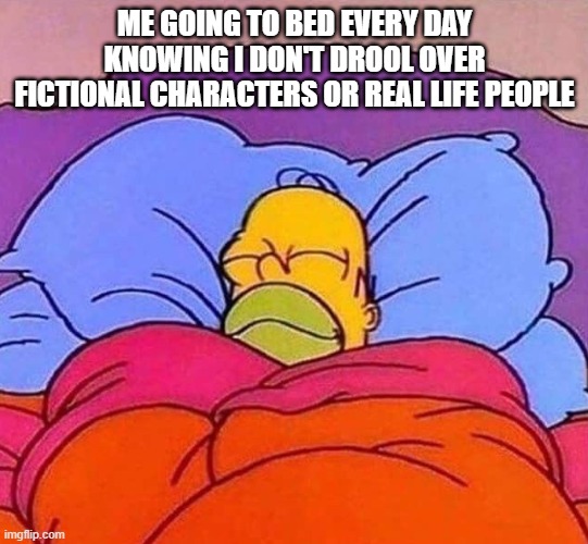 Homer Simpson sleeping peacefully | ME GOING TO BED EVERY DAY KNOWING I DON'T DROOL OVER FICTIONAL CHARACTERS OR REAL LIFE PEOPLE | image tagged in homer simpson sleeping peacefully | made w/ Imgflip meme maker