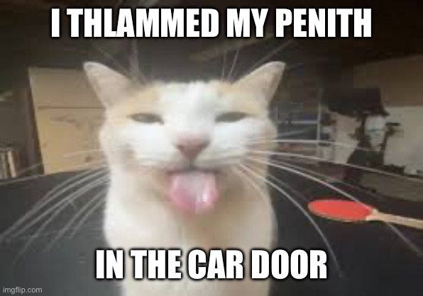 Cat | I THLAMMED MY PENITH; IN THE CAR DOOR | image tagged in cat | made w/ Imgflip meme maker