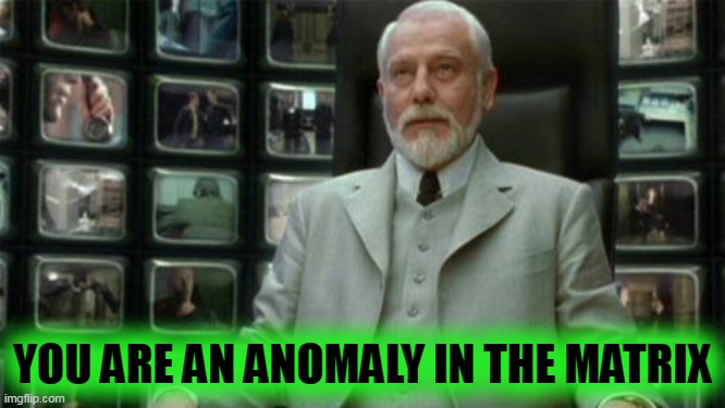 Architect Matrix | YOU ARE AN ANOMALY IN THE MATRIX | image tagged in architect matrix | made w/ Imgflip meme maker