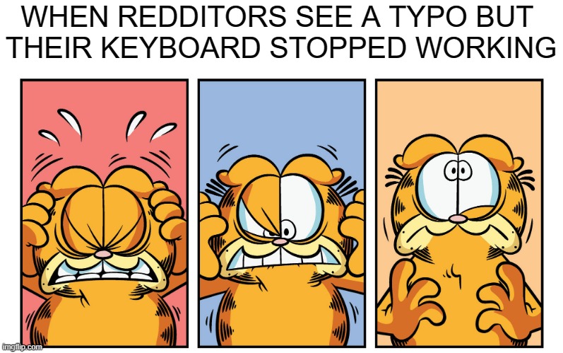 Limbo | WHEN REDDITORS SEE A TYPO BUT 
THEIR KEYBOARD STOPPED WORKING | image tagged in garfield,reddit,typo,memes | made w/ Imgflip meme maker