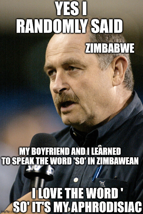 Grant Nisbett | YES I RANDOMLY SAID; ZIMBABWE; MY BOYFRIEND AND I LEARNED TO SPEAK THE WORD 'SO' IN ZIMBAWEAN; I LOVE THE WORD ' SO' IT'S MY APHRODISIAC | image tagged in idiot,sky sports breaking news,new zealand,rugby,twat | made w/ Imgflip meme maker