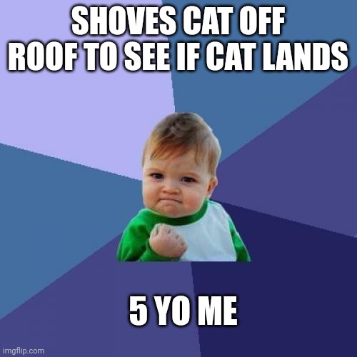 Success Kid | SHOVES CAT OFF ROOF TO SEE IF CAT LANDS; 5 YO ME | image tagged in memes,success kid | made w/ Imgflip meme maker