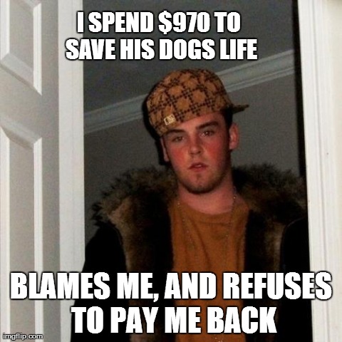 Scumbag Steve Meme | I SPEND $970 TO SAVE HIS DOGS LIFE BLAMES ME, AND REFUSES TO PAY ME BACK | image tagged in memes,scumbag steve,AdviceAnimals | made w/ Imgflip meme maker