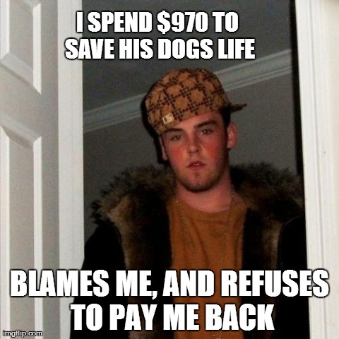 Scumbag Steve | I SPEND $970 TO SAVE HIS DOGS LIFE BLAMES ME, AND REFUSES TO PAY ME BACK | image tagged in memes,scumbag steve,AdviceAnimals | made w/ Imgflip meme maker