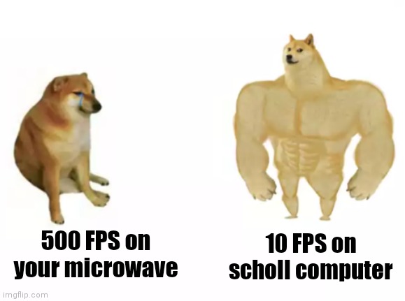 LoL | 10 FPS on scholl computer; 500 FPS on your microwave | image tagged in buff doge vs cheems reversed,fps,gaming | made w/ Imgflip meme maker