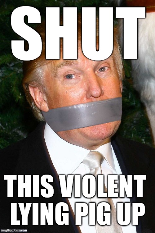 If you lie in order to incite violence, f*** your freedom of speech. | SHUT; THIS VIOLENT 
LYING PIG UP | image tagged in terrorist threats,freedom of speech,rule of law,gag order,evil trump,let's go rico | made w/ Imgflip meme maker