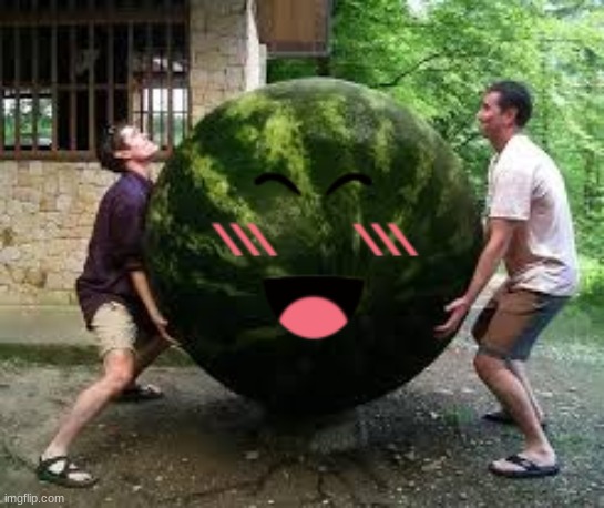 melon | image tagged in melonnia | made w/ Imgflip meme maker