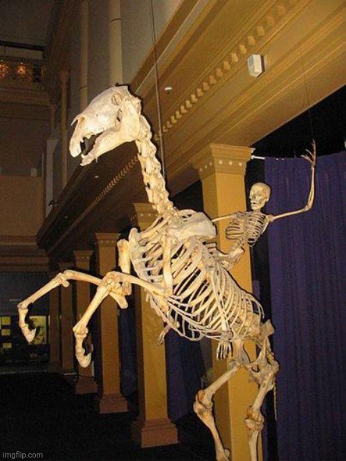 spooky horse and rider skeleton | image tagged in spooky horse and rider skeleton | made w/ Imgflip meme maker
