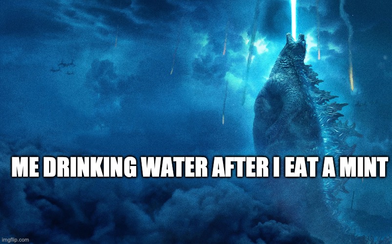 ITS SO COLD | ME DRINKING WATER AFTER I EAT A MINT | image tagged in relatable memes,funny memes | made w/ Imgflip meme maker