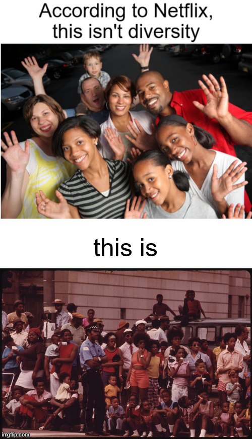 Why is diversity 100% black people lol (#3,409) | this is | image tagged in blank white template,memes,black people,true,diversity,netflix | made w/ Imgflip meme maker
