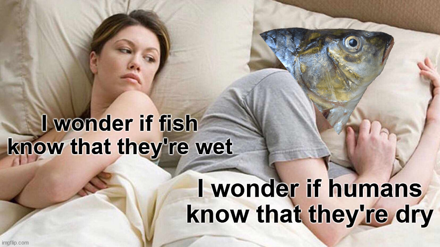 Meme #3,410 | I wonder if fish know that they're wet; I wonder if humans know that they're dry | image tagged in memes,i bet he's thinking about other women,fish,shower thoughts,funny,wet | made w/ Imgflip meme maker