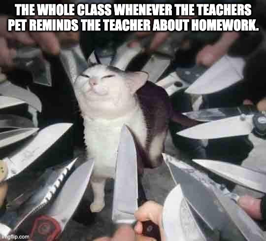 Um ExCuSe Me I tHiNk YoU fOrGoT tO aSsIgN tHe HoMeWoRk | THE WHOLE CLASS WHENEVER THE TEACHERS PET REMINDS THE TEACHER ABOUT HOMEWORK. | image tagged in knife cat | made w/ Imgflip meme maker