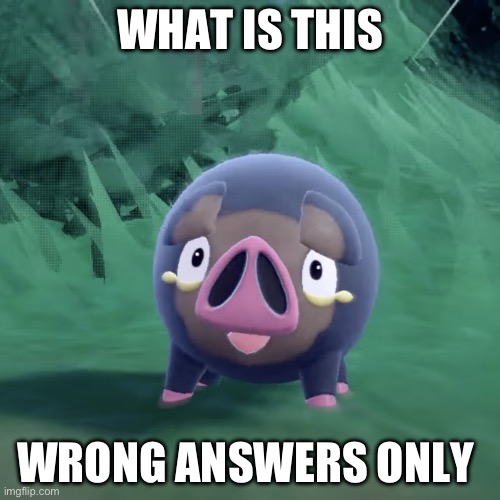 Lechonk | WHAT IS THIS; WRONG ANSWERS ONLY | image tagged in lechonk | made w/ Imgflip meme maker