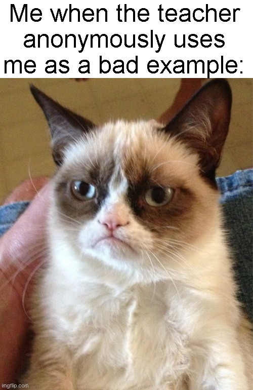 Grumpy Cat Meme | Me when the teacher anonymously uses me as a bad example: | image tagged in memes,grumpy cat,funny,fun,true story,relatable | made w/ Imgflip meme maker