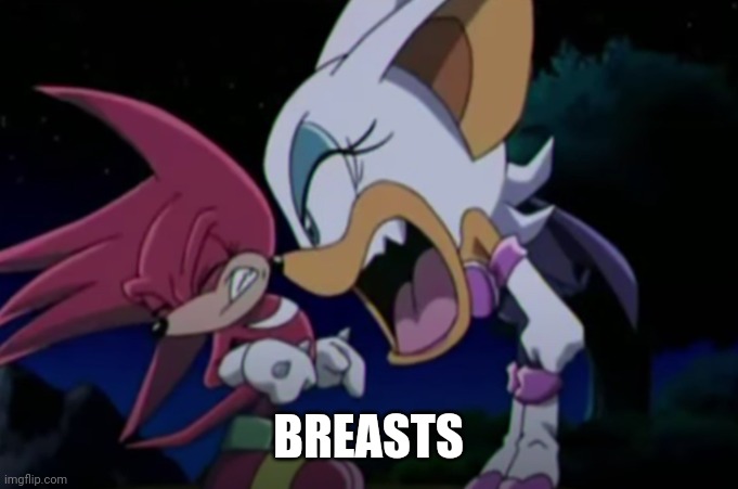 rouge yelling at knuckles | BREASTS | image tagged in rouge yelling at knuckles | made w/ Imgflip meme maker