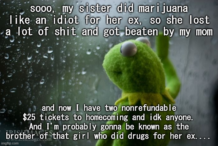 ;-; lets add more shit to my depression, shall we? | sooo, my sister did marijuana like an idiot for her ex, so she lost a lot of shit and got beaten by my mom; and now I have two nonrefundable $25 tickets to homecoming and idk anyone. And I'm probably gonna be known as the brother of that girl who did drugs for her ex.... | image tagged in kermit window | made w/ Imgflip meme maker