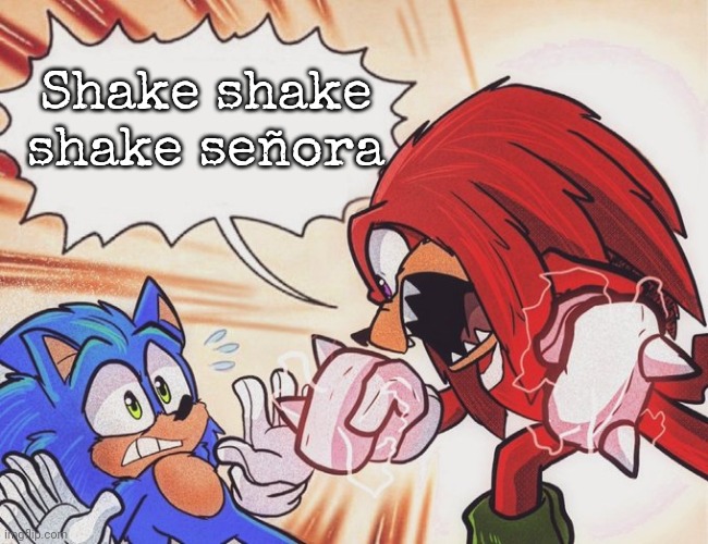 Knuckles yelling at Sonic | Shake shake shake señora | image tagged in knuckles yelling at sonic | made w/ Imgflip meme maker