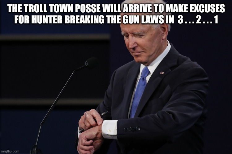 Joe Biden Watch | THE TROLL TOWN POSSE WILL ARRIVE TO MAKE EXCUSES FOR HUNTER BREAKING THE GUN LAWS IN  3 . . . 2 . . . 1 | image tagged in joe biden watch | made w/ Imgflip meme maker
