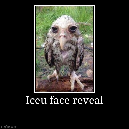 If you guys want ill make more face reveals for bigger users | Iceu face reveal | | image tagged in funny,demotivationals,memes,iceu | made w/ Imgflip demotivational maker