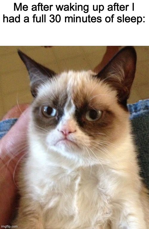 Homework is stressful | Me after waking up after I had a full 30 minutes of sleep: | image tagged in memes,grumpy cat | made w/ Imgflip meme maker