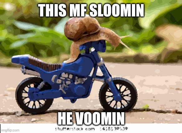 Hes still faster than the entirety of the gay streams fathers | THIS MF SLOOMIN; HE VOOMIN | image tagged in snail,motorcycle,voomin,sloomin | made w/ Imgflip meme maker