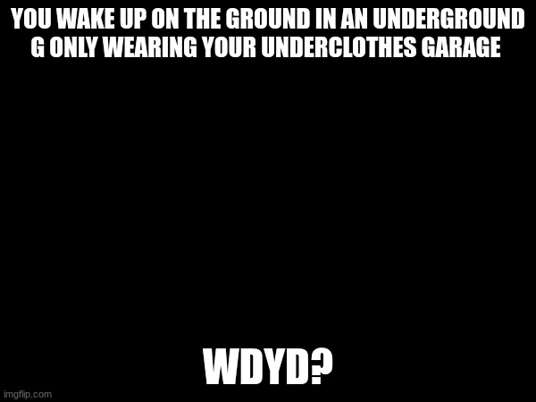My First RP I created :P TW: Blood and Gore | YOU WAKE UP ON THE GROUND IN AN UNDERGROUND G ONLY WEARING YOUR UNDERCLOTHES GARAGE; WDYD? | image tagged in no bambi,no op oc,no joke oc,non super powered human oc | made w/ Imgflip meme maker