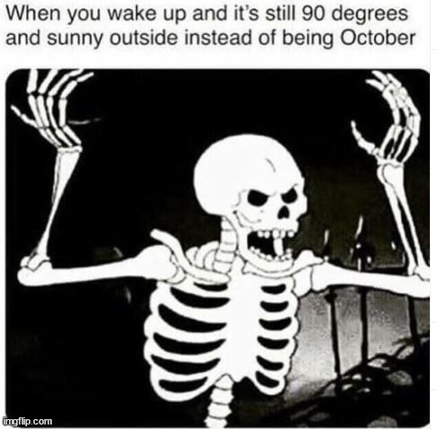 image tagged in memes,funny | made w/ Imgflip meme maker