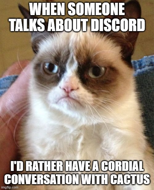 Grumpy Cat | WHEN SOMEONE TALKS ABOUT DISCORD; I'D RATHER HAVE A CORDIAL CONVERSATION WITH CACTUS | image tagged in memes,grumpy cat | made w/ Imgflip meme maker